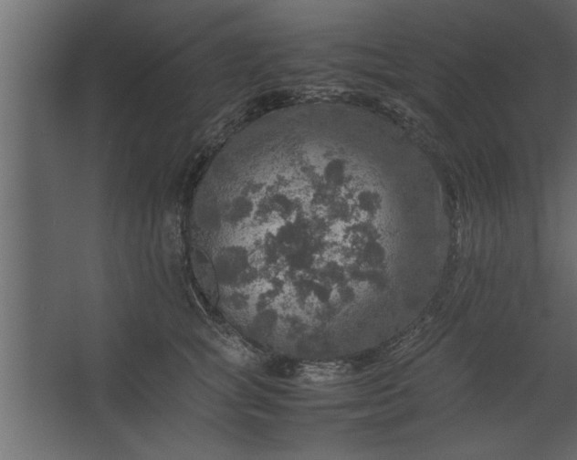 X0000067460757200604211541