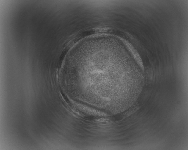 X0000067460761200604211541