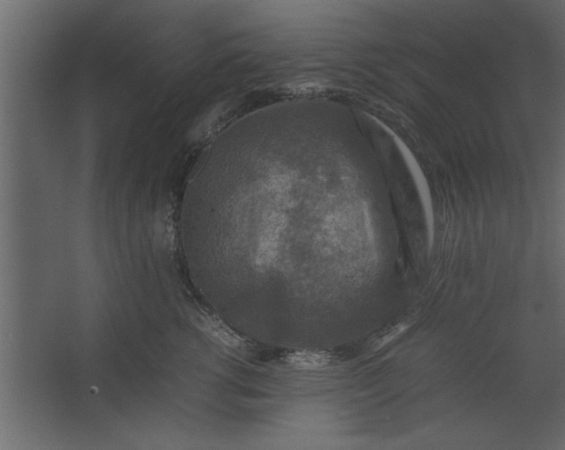 X0000067460762200604211541