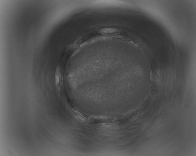 X0000067460763200604211541