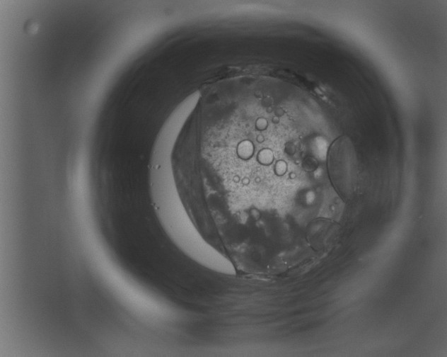 X0000067460765200604211541