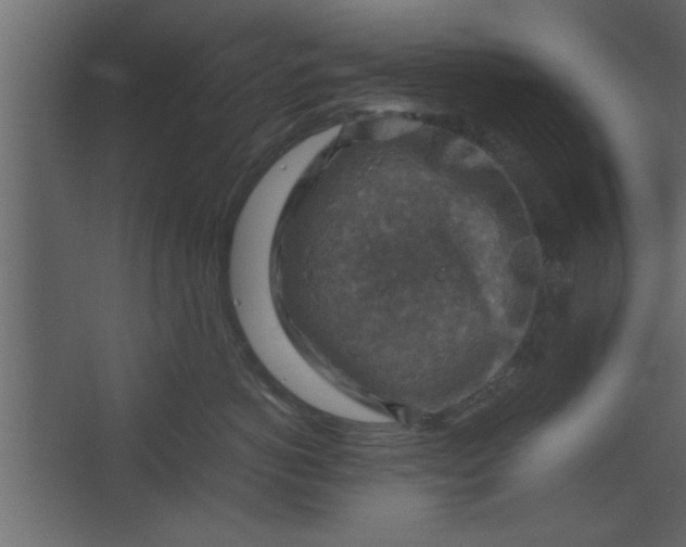 X0000067460766200604211541