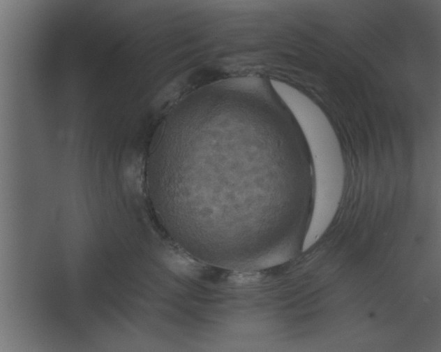 X0000067460767200604211541