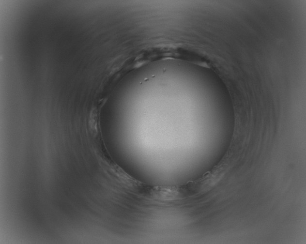 X0000067460768200604211541