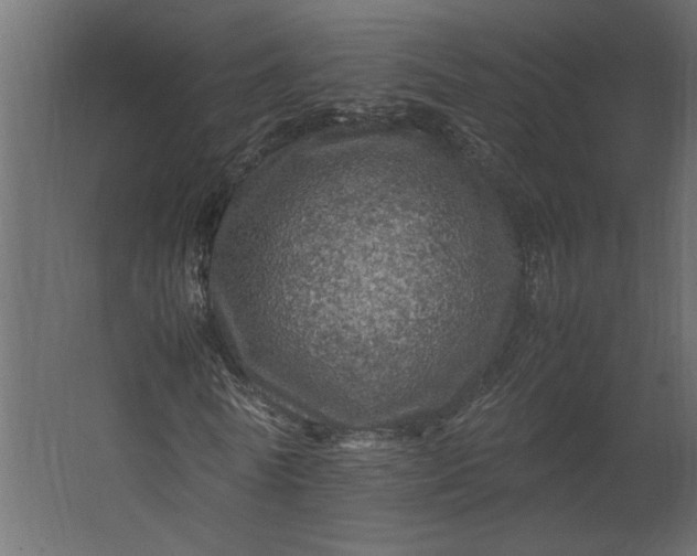 X0000067460770200604211540