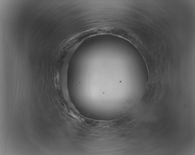 X0000067460773200604211540