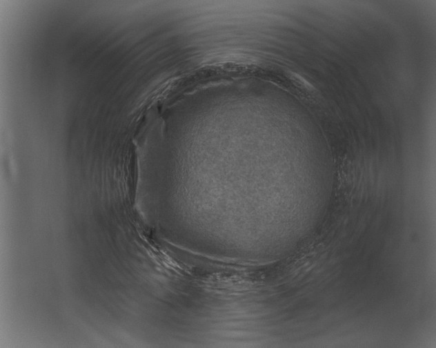 X0000067460774200604211540