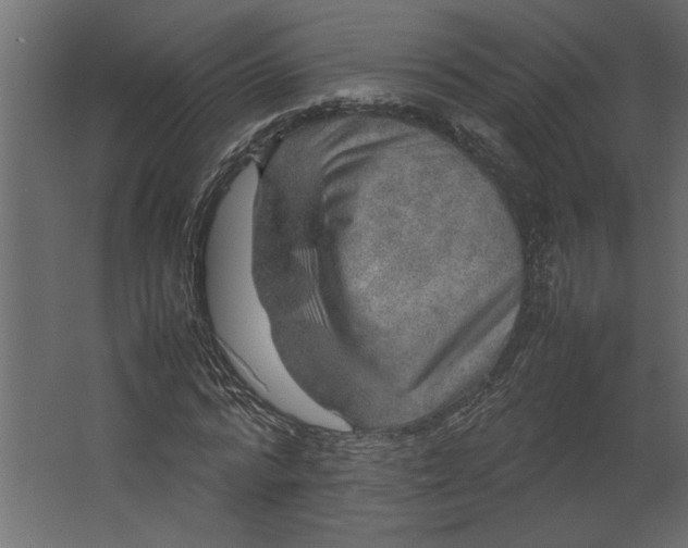 X0000067460776200604211540