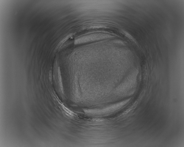 X0000067460777200604211540