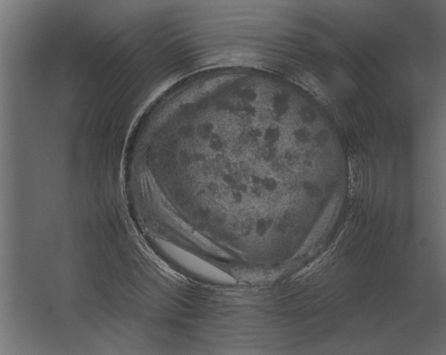 X0000067460780200604211540