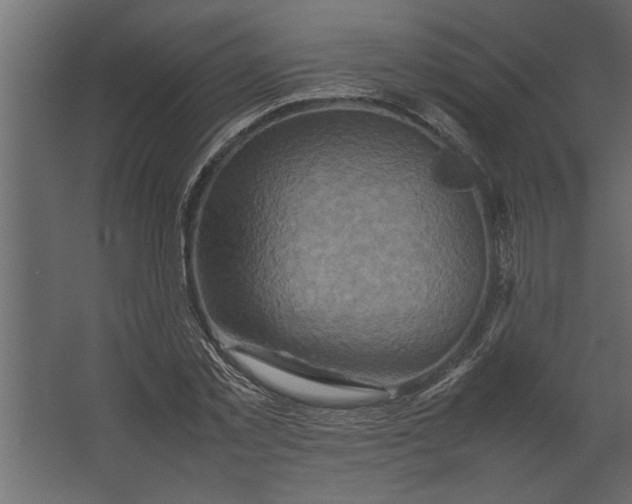 X0000067460781200604211540