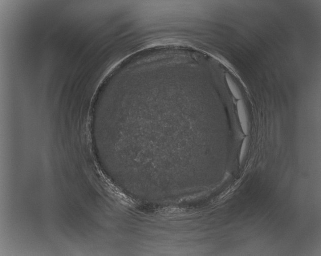 X0000067460783200604211540