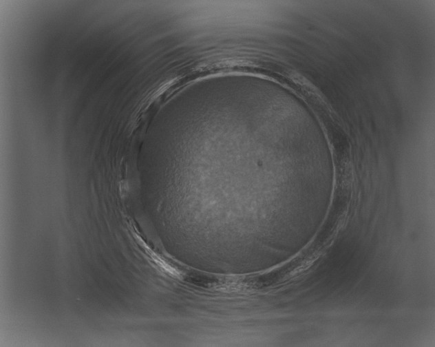 X0000067460785200604211540