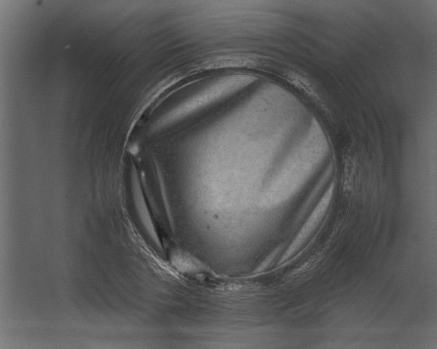 X0000067460786200604211540