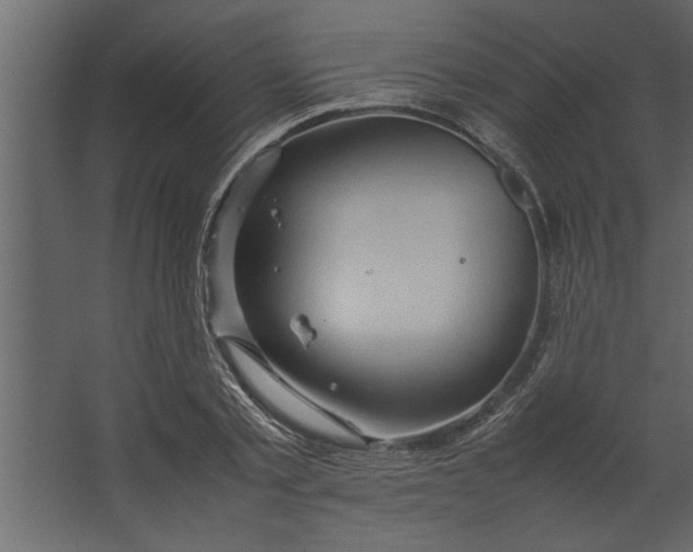 X0000067460789200604211540