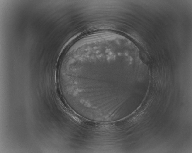 X0000067460790200604211540