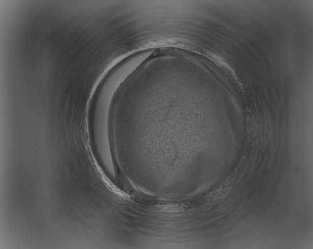 X0000067460792200604211540