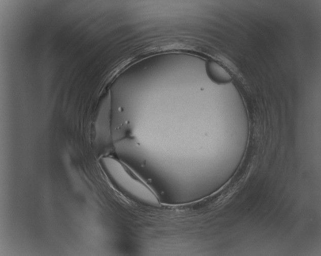 X0000067460793200604211540