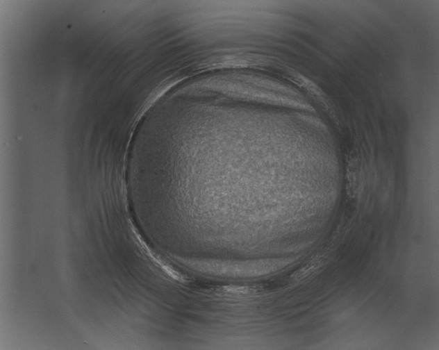 X0000067460794200604211540