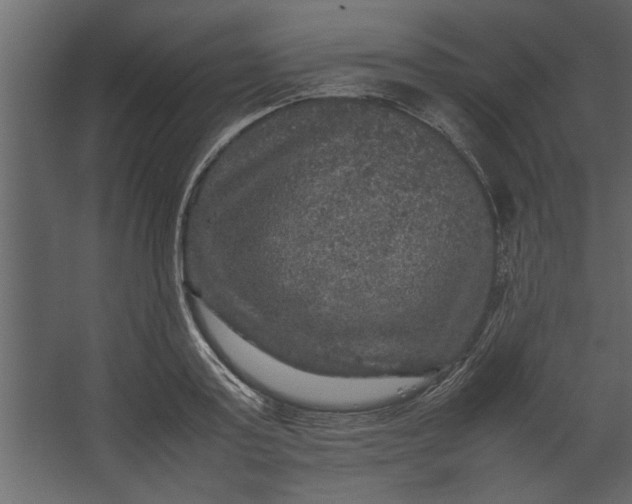 X0000067460795200604211540