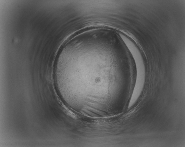 X0000067460799200604211539