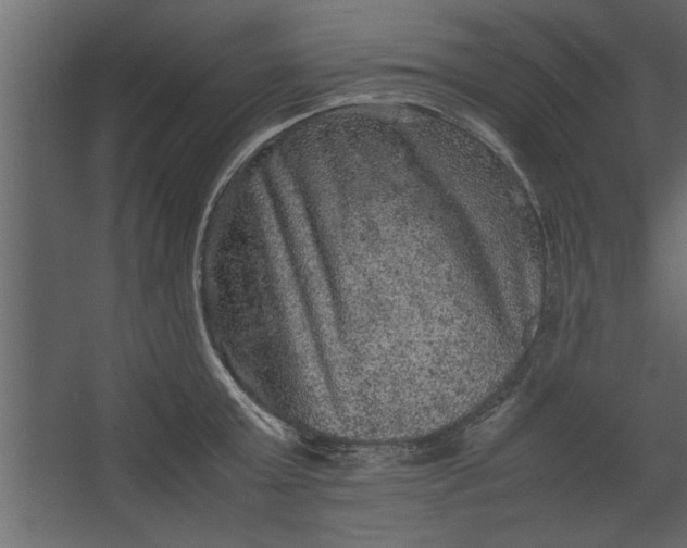 X0000067460803200604211539