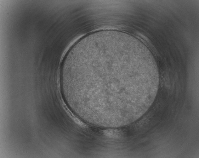 X0000067460804200604211539