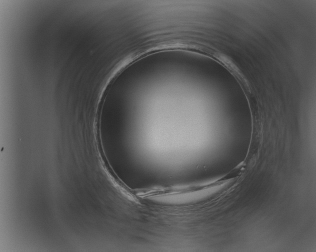 X0000067460805200604211539