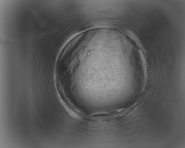 X0000067460811200604211539