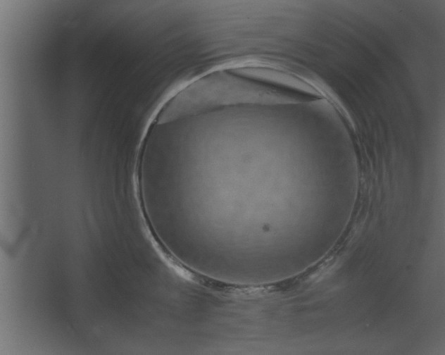 X0000067460813200604211539