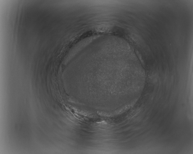 X0000067460817200604211538