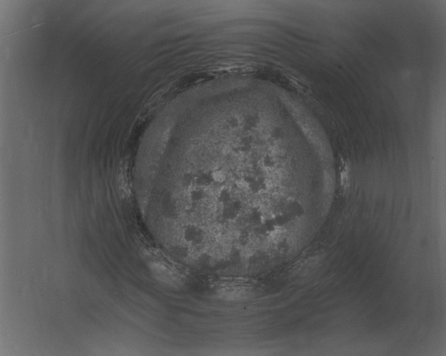 X0000067460819200604211538