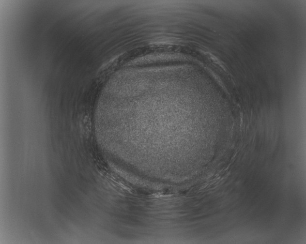 X0000067460821200604211538