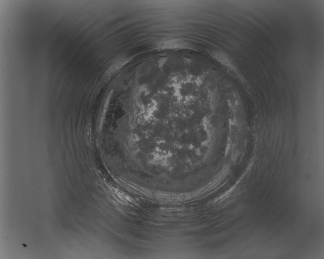 X0000067460825200604211538