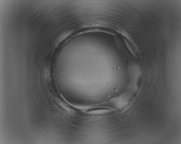 X0000067460826200604211538