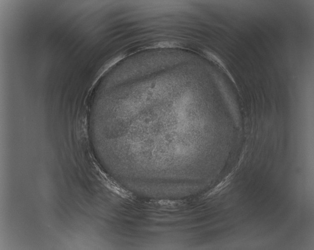 X0000067460827200604211539