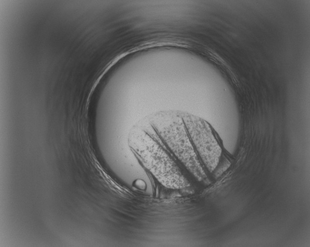 X0000067460828200604211539