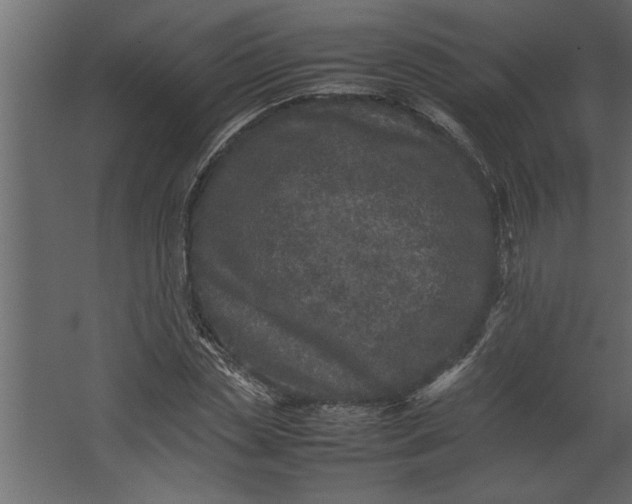 X0000067460829200604211539