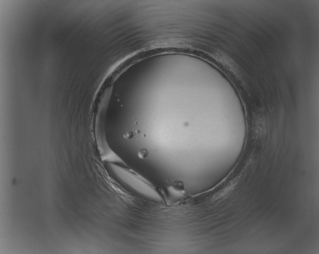 X0000067460830200604211539