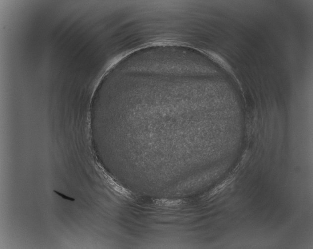 X0000067460831200604211539