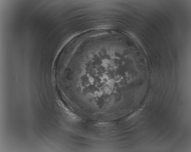 X0000067460835200604211539