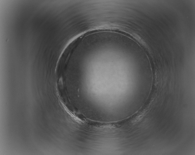 X0000067460838200604211539