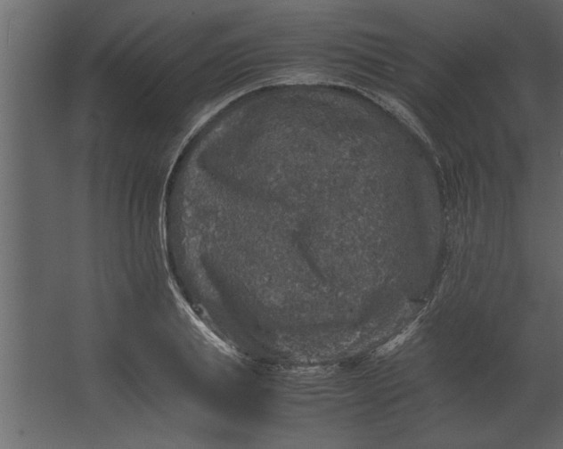 X0000067460839200604211539