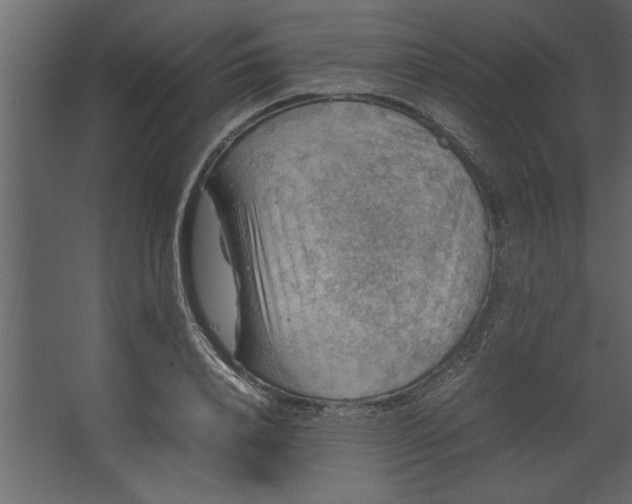 X0000067460840200604211539