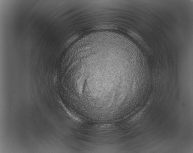 X0000067460841200604211539