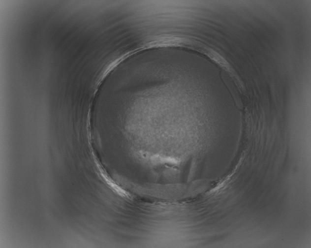 X0000067460842200604211539