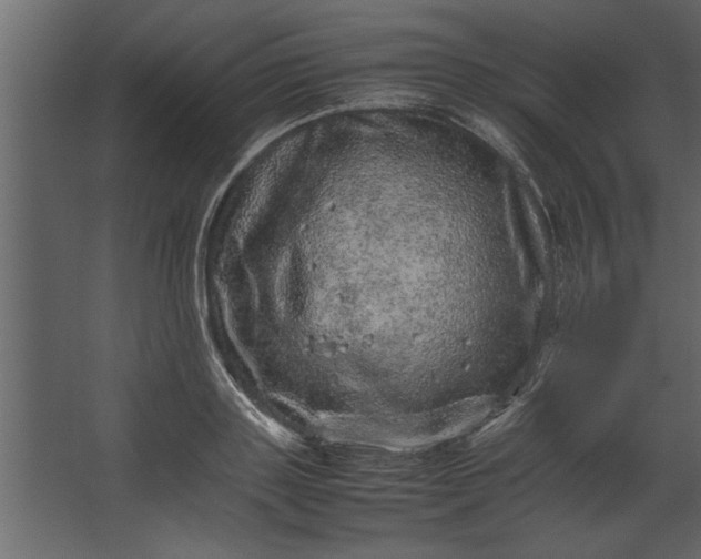 X0000067460843200604211539