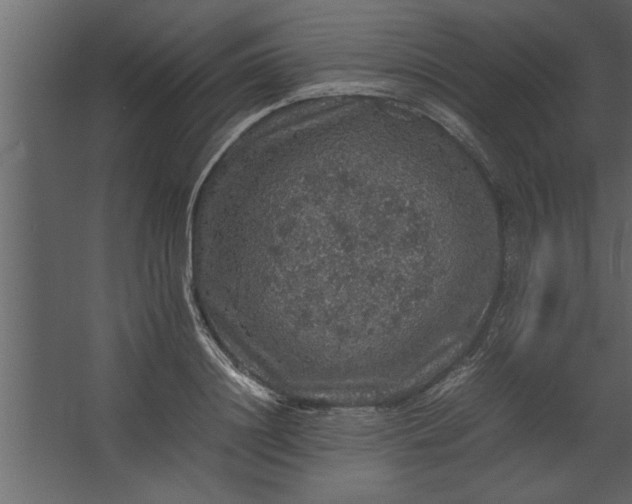 X0000067460844200604211539