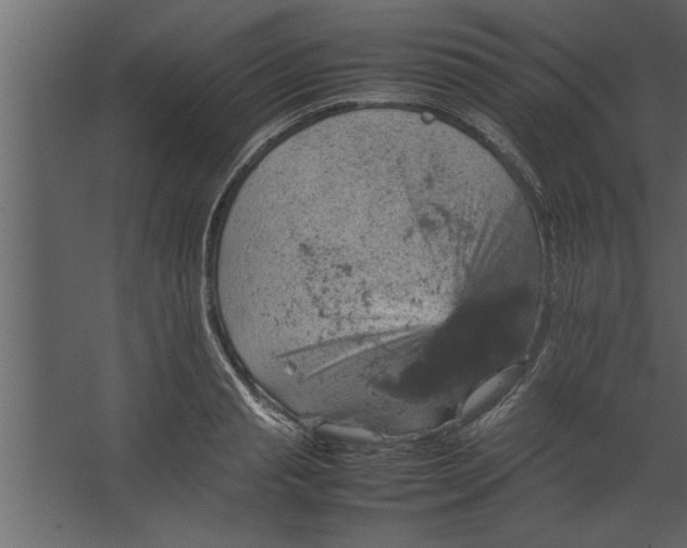 X0000067460845200604211539