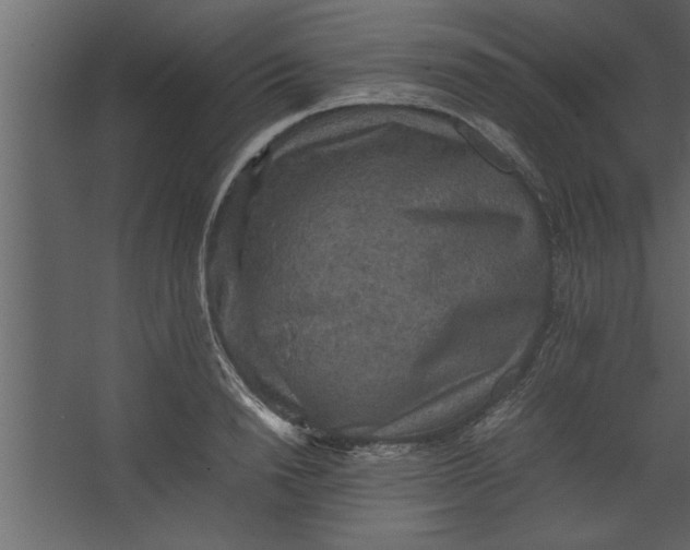 X0000067460846200604211539